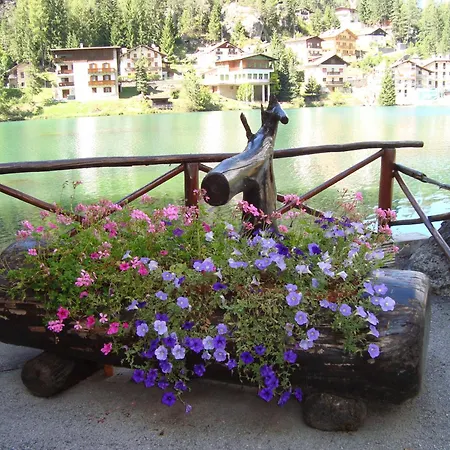 Hotel Adriana 3*